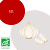 ail_1