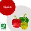 catalogue_paniers_1_148903509