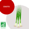 cebette_1