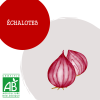 chalottes