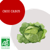 chou_cabus_129945484