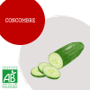 concombre