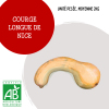 courge_longue_de_nice