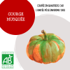 courge_musque