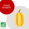 courge_sphagetti