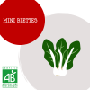 mini_blettes