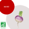 navet
