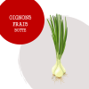 oignons_frais_1
