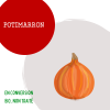 potimarron_2