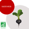 radis_noir