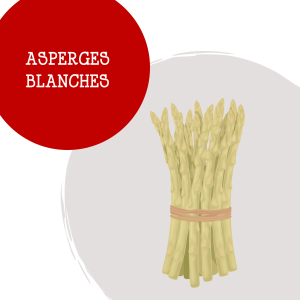 asperges_blanches