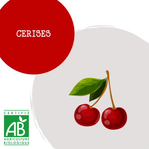 cerise