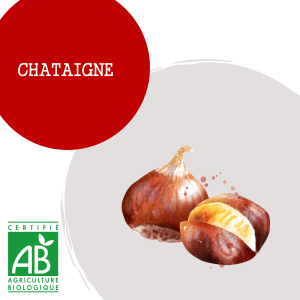 chataigne_24865845
