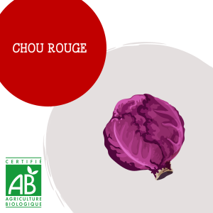 chou_rouge_1
