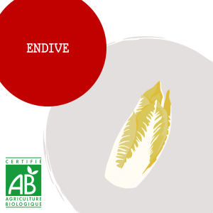endive