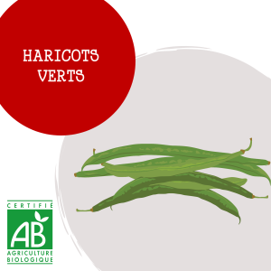 haricot_vert