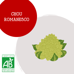 romanesco