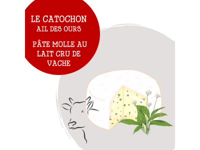 catochon_ail_des_ours