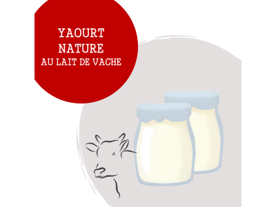 yaourt_vache_nature_1837928167